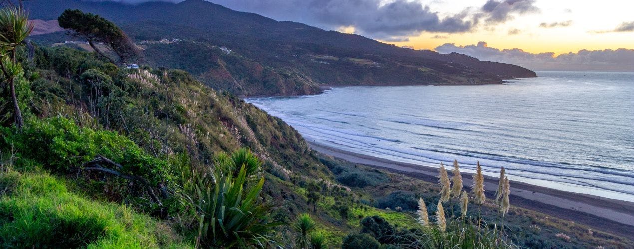 Coworking, Coliving and Surfing in Raglan (New Zeland)