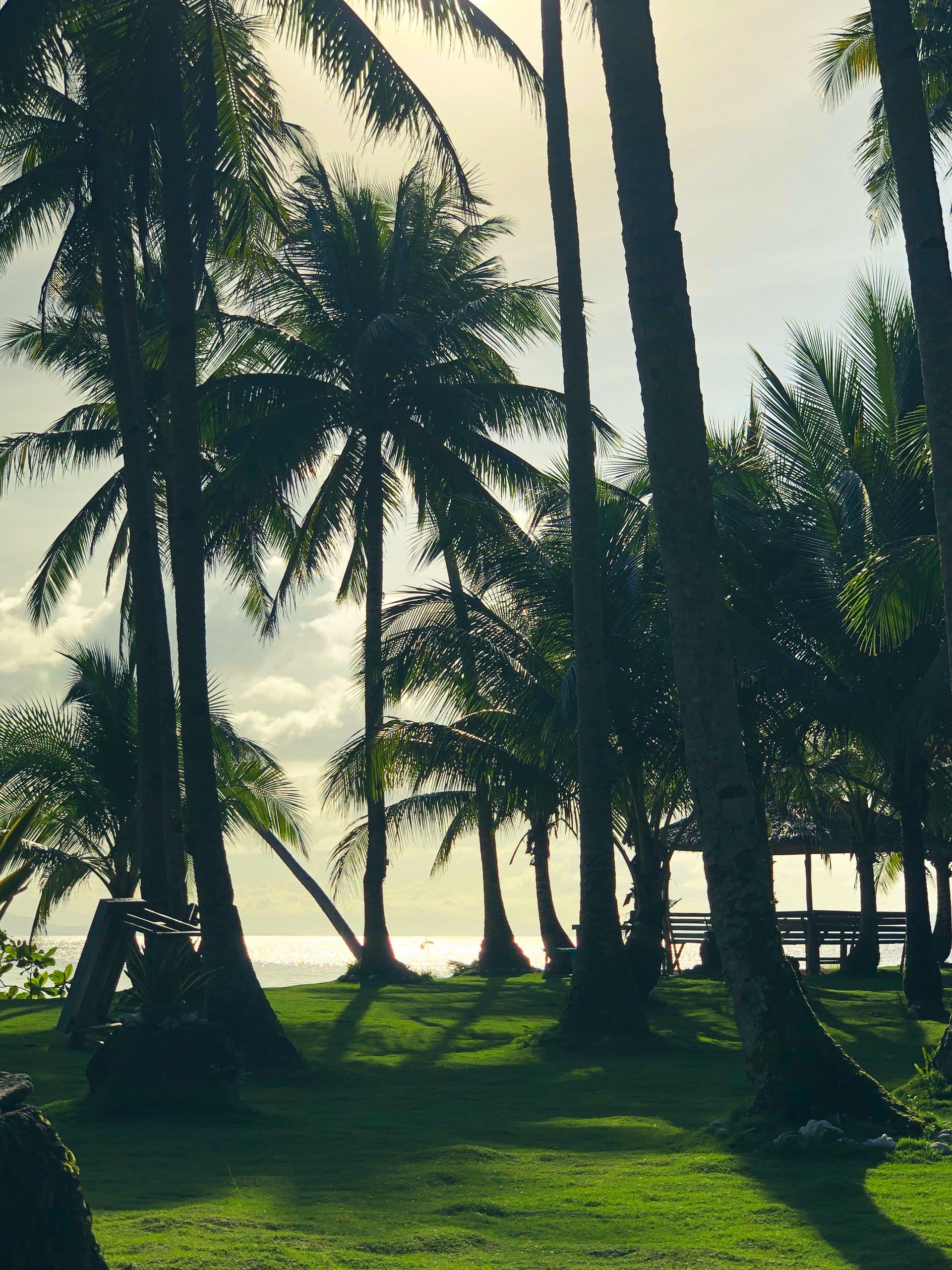 Siargao (Philippines) - Card Background Image