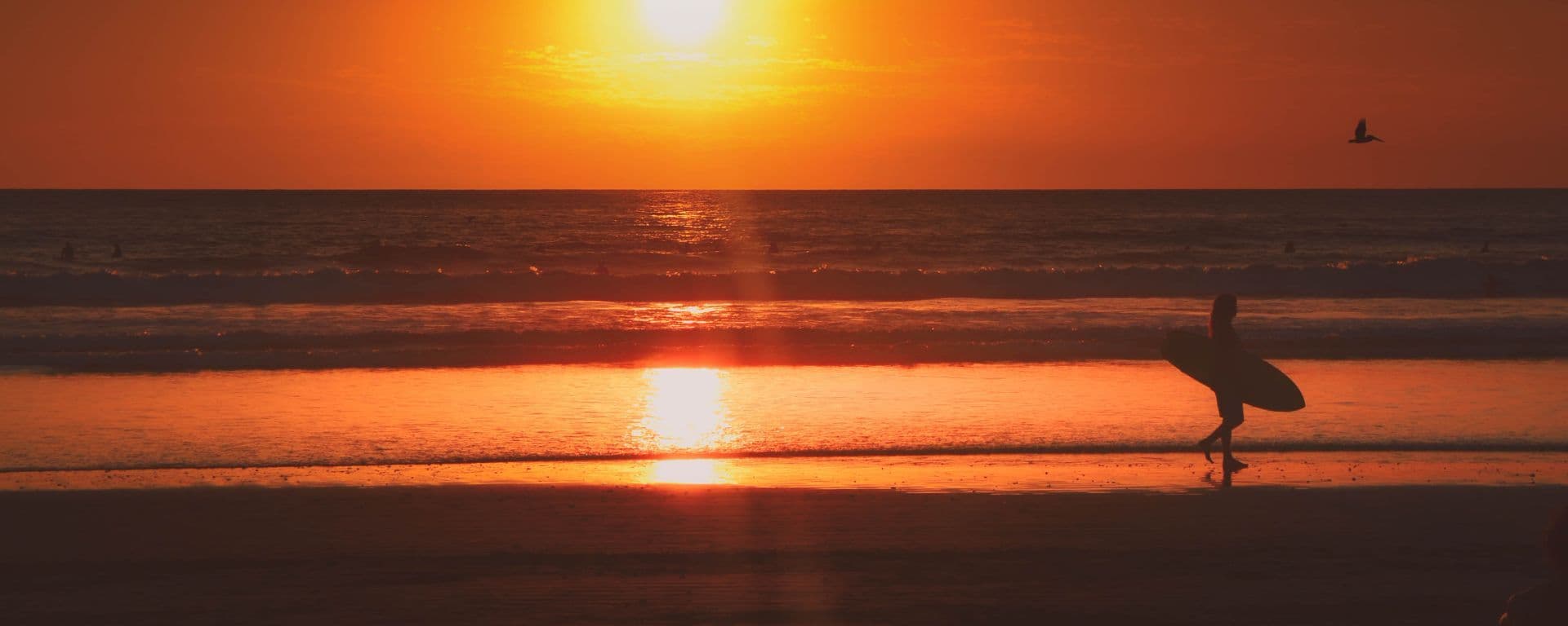 Nosara (Costa Rica) - Card Background Image