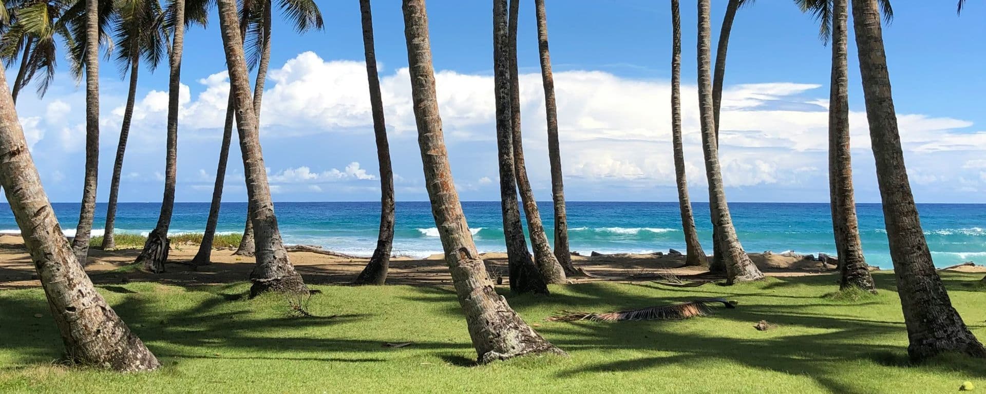 Playa Encuentro (Dominican Republic) - Card Background Image